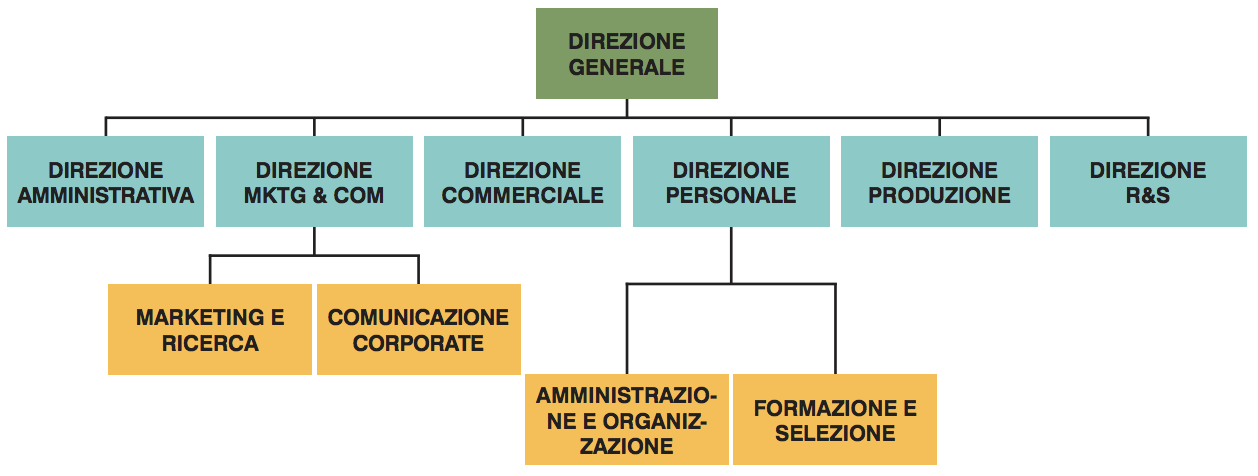 organigramma